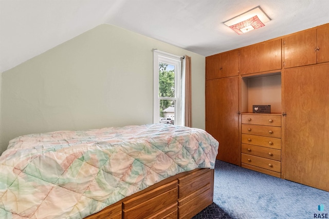 bedroom with vaulted ceiling, a closet, and carpet floors