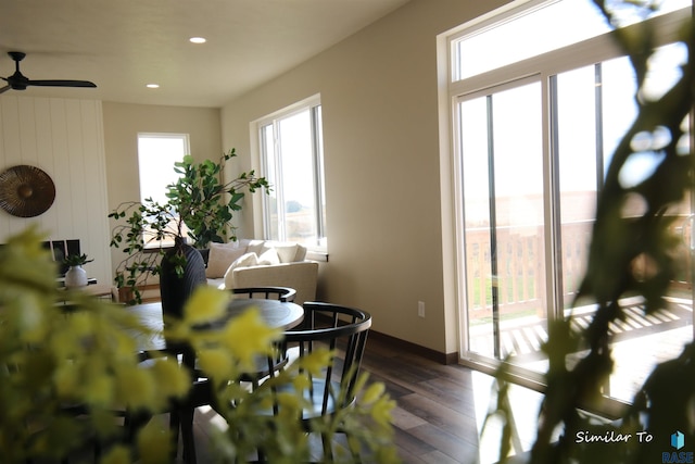 interior space featuring dark hardwood / wood-style floors