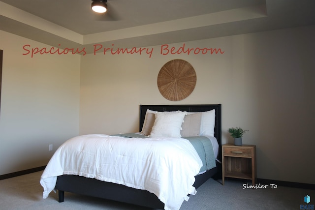 6509 S Barclay Trl, Sioux Falls, SD 57106 - carpeted bedroom featuring a tray ceiling