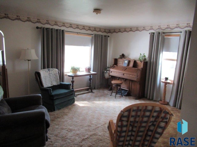 sitting room featuring carpet floors