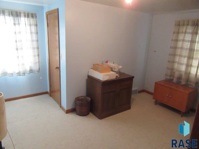 bedroom featuring multiple windows and light colored carpet