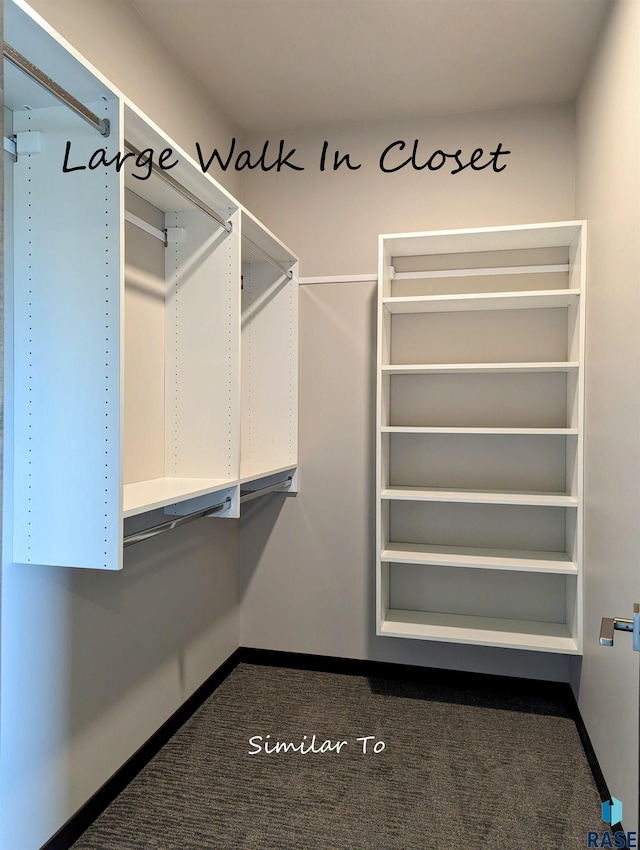 walk in closet featuring carpet floors