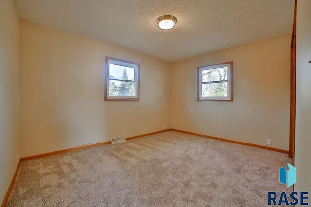 unfurnished room with light carpet and a textured ceiling