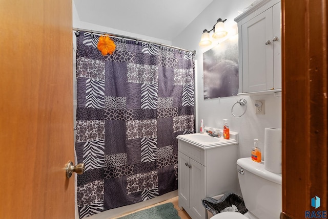 bathroom featuring vanity, a shower with shower curtain, and toilet