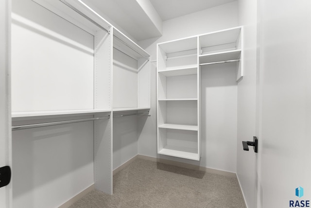 spacious closet featuring light colored carpet