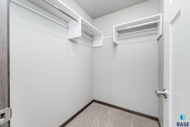 spacious closet with carpet