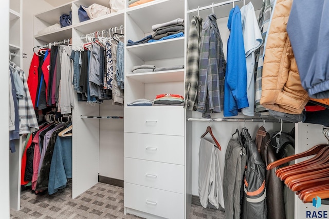 spacious closet featuring light colored carpet