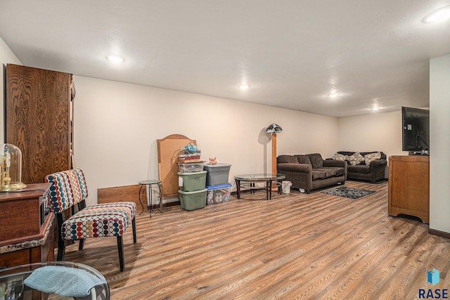 living room featuring light hardwood / wood-style floors