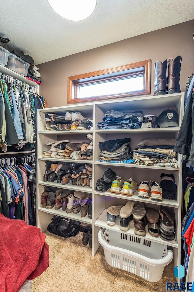 spacious closet with carpet floors