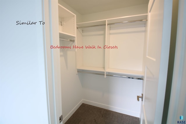 spacious closet with dark colored carpet