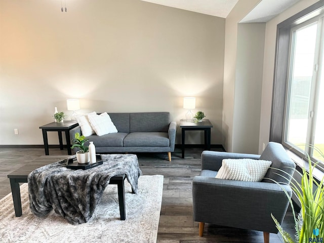 living room featuring lofted ceiling and dark wood-type flooring