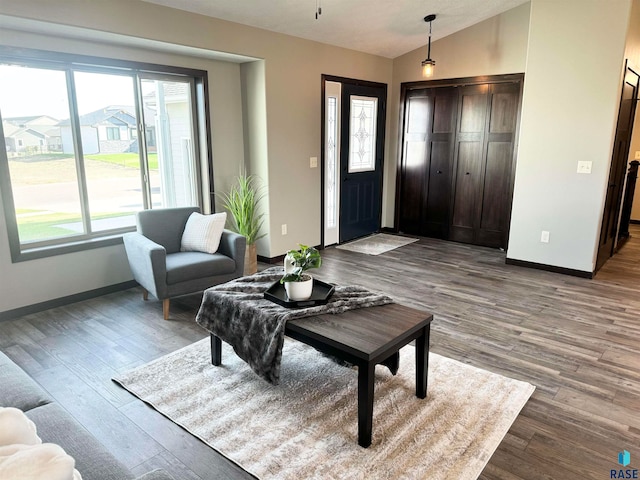 interior space featuring hardwood / wood-style floors and vaulted ceiling