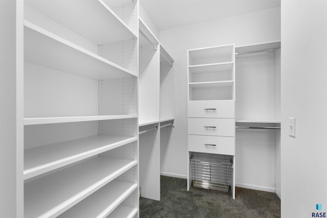 spacious closet featuring dark carpet