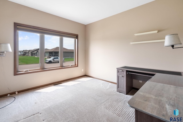 interior space with light carpet