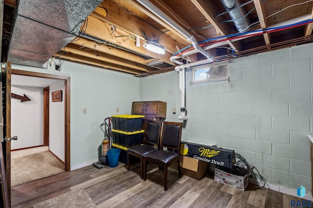 basement featuring hardwood / wood-style floors