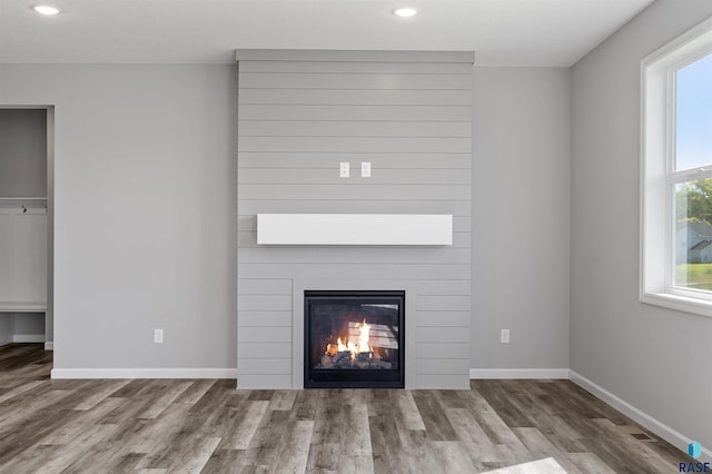 room details featuring hardwood / wood-style floors and a fireplace