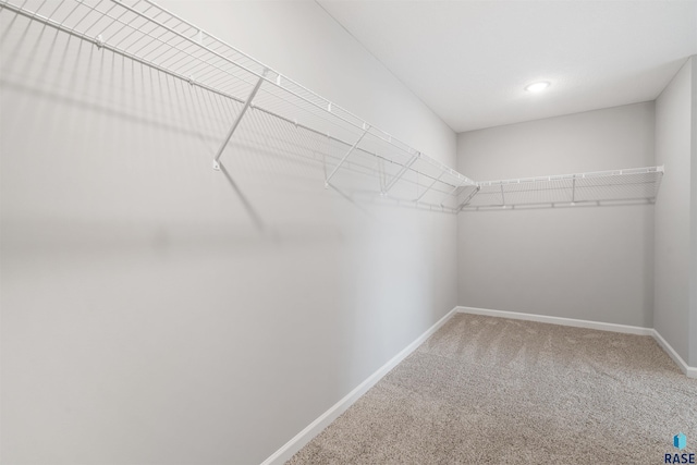 spacious closet with carpet