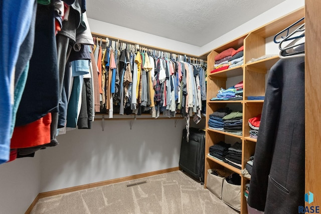 spacious closet featuring light carpet