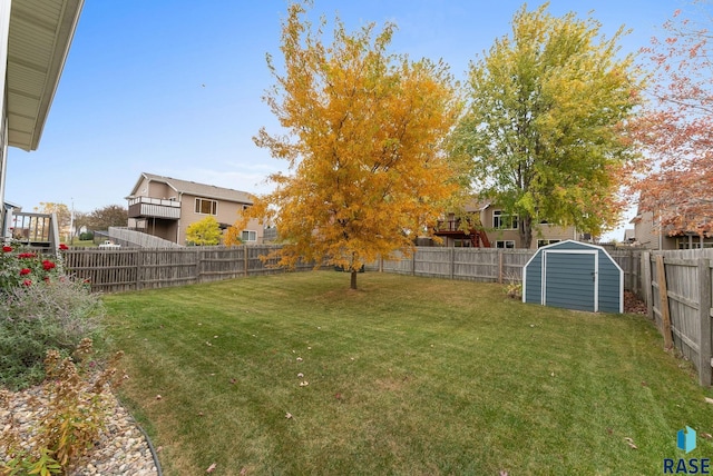 view of yard with a shed