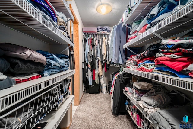 spacious closet featuring light carpet