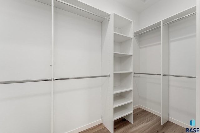 walk in closet with wood-type flooring