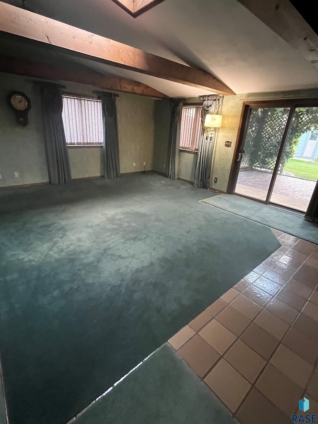 basement featuring carpet and plenty of natural light