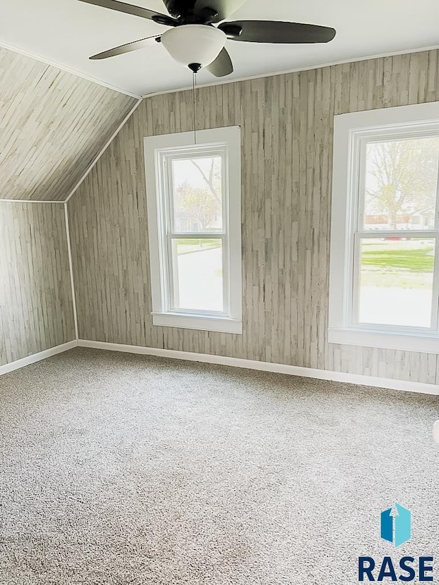 323 W Lincoln St, Luverne, MN 56156 - bonus room with a ceiling fan, lofted ceiling, wood walls, and carpet