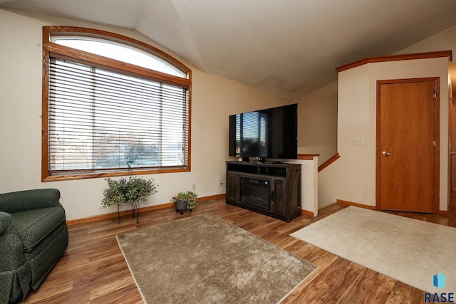 living room with hardwood / wood-style flooring and vaulted ceiling