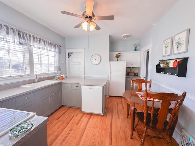 kitchen with light wood-type flooring, gray cabinets, sink, white appliances, and ceiling fan