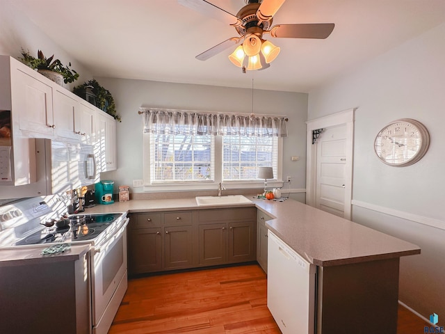 kitchen with sink, light wood-type flooring, range with electric cooktop, and plenty of natural light