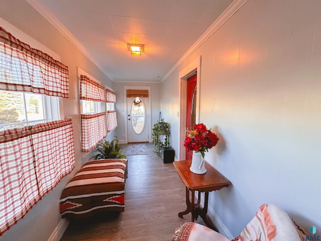 interior space featuring dark hardwood / wood-style floors and ornamental molding