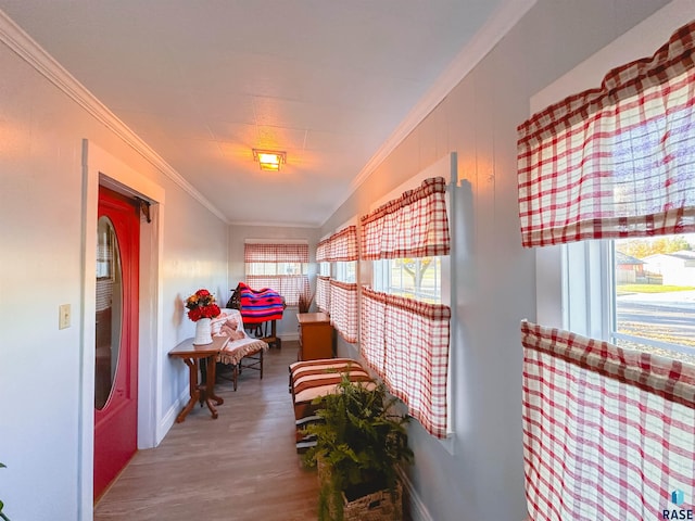 hall featuring hardwood / wood-style flooring and ornamental molding