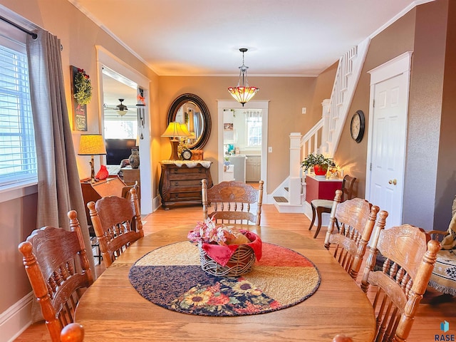 dining room featuring ceiling fan, light wood-type flooring, and ornamental molding