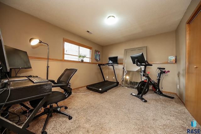 workout area featuring light colored carpet and a textured ceiling