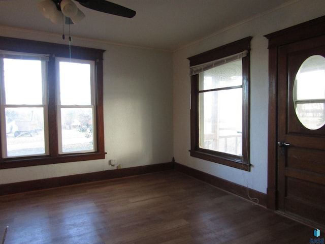 foyer featuring dark wood-type flooring, ceiling fan, and crown molding