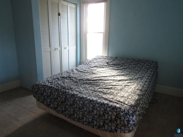 bedroom featuring dark colored carpet and a closet