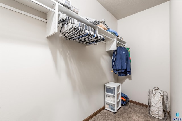 walk in closet featuring carpet