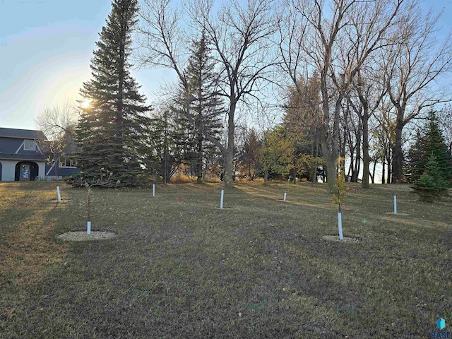 view of yard at dusk