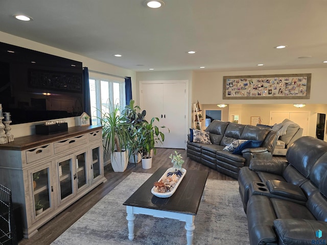 living room featuring dark hardwood / wood-style floors