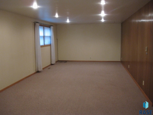 spare room with wooden walls and carpet flooring