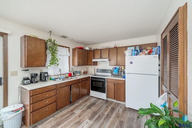 kitchen featuring a textured ceiling, white appliances, light hardwood / wood-style flooring, and sink