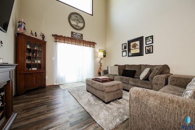 living room with dark hardwood / wood-style flooring and a high ceiling