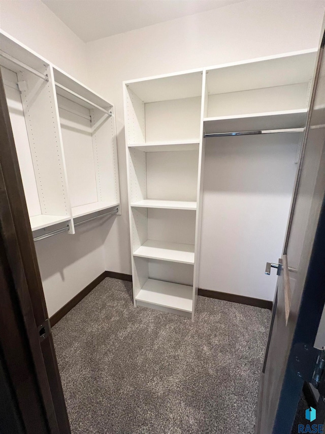 walk in closet featuring dark colored carpet