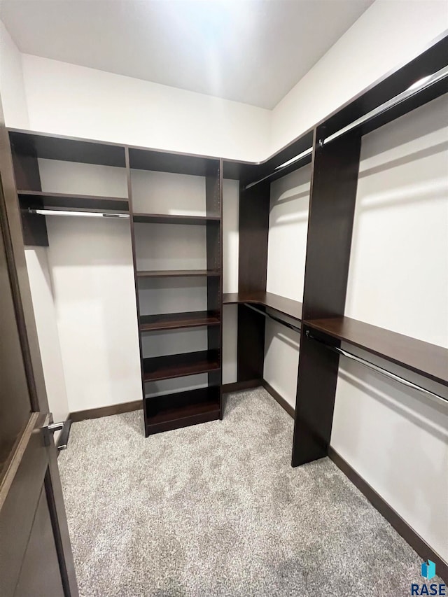 walk in closet with light carpet