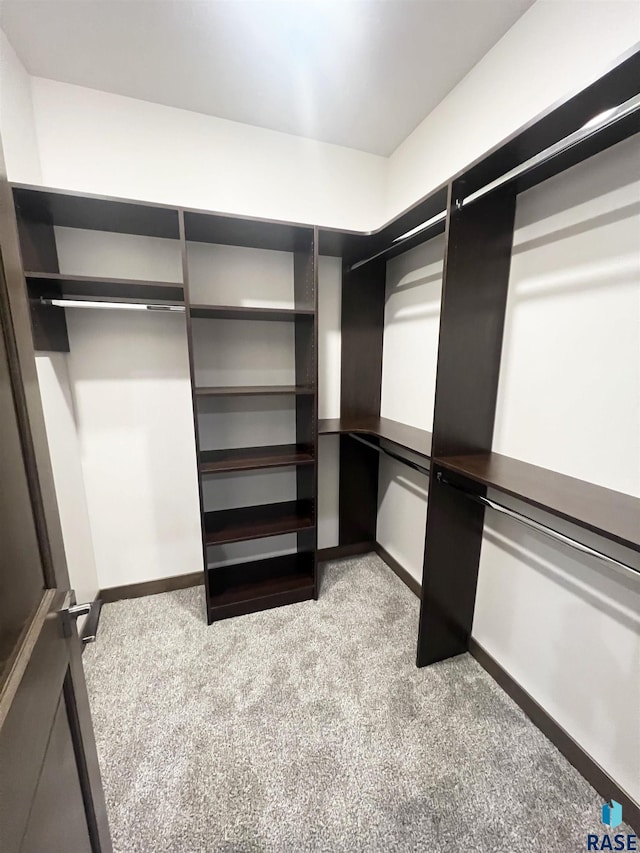 spacious closet with light carpet