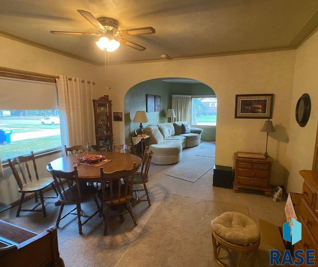 carpeted dining space featuring ceiling fan and crown molding