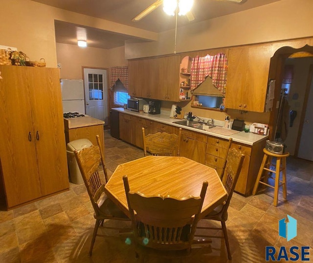 kitchen with ceiling fan, sink, white fridge, and gas cooktop