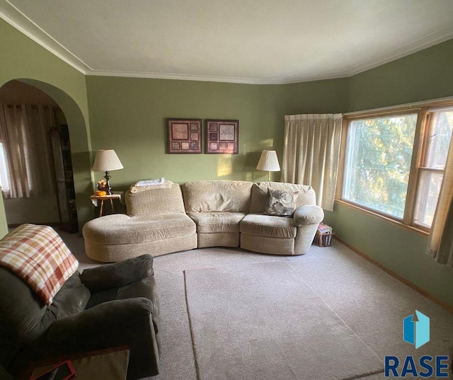 living room with carpet floors and ornamental molding