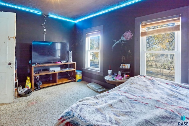 carpeted bedroom with a textured ceiling