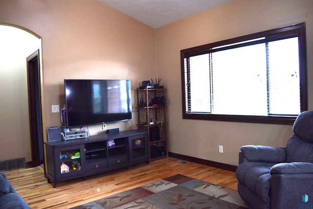 living room featuring hardwood / wood-style floors